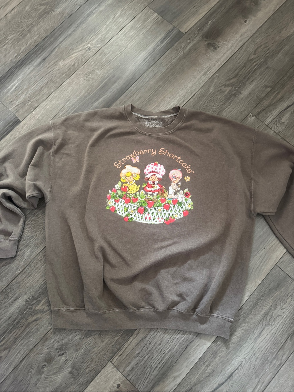 Strawberry Shortcake Oversized Brown Sweatshirt One Size OS Retro Graphic Cozy - Picture 2 of 7
